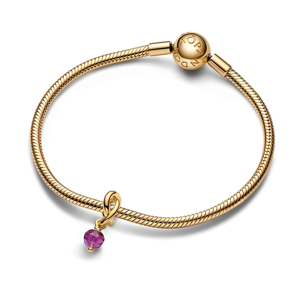 February Birthstone Eternity Circle Dangle Charm
