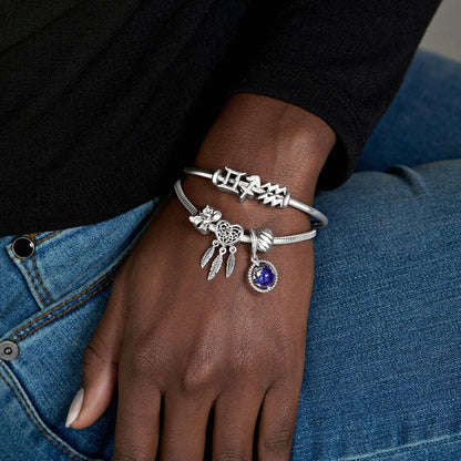 Pandora Polished Feathered Clip Charm